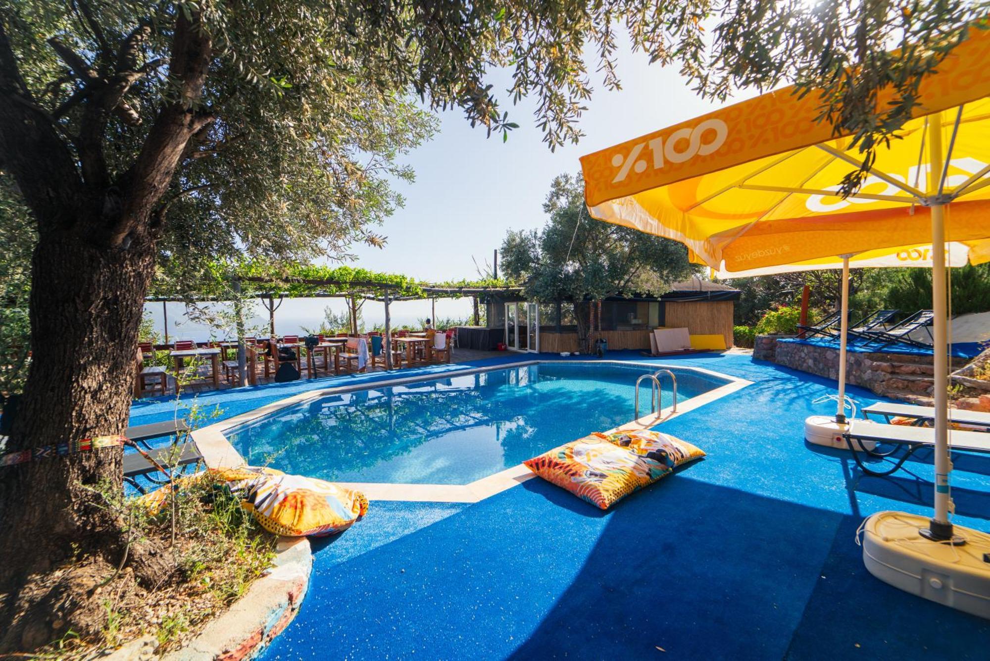 Shiva Camp Hotel ฟารัลยา ภายนอก รูปภาพ