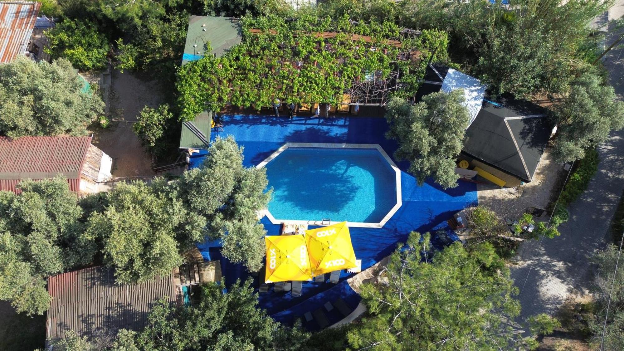 Shiva Camp Hotel ฟารัลยา ภายนอก รูปภาพ