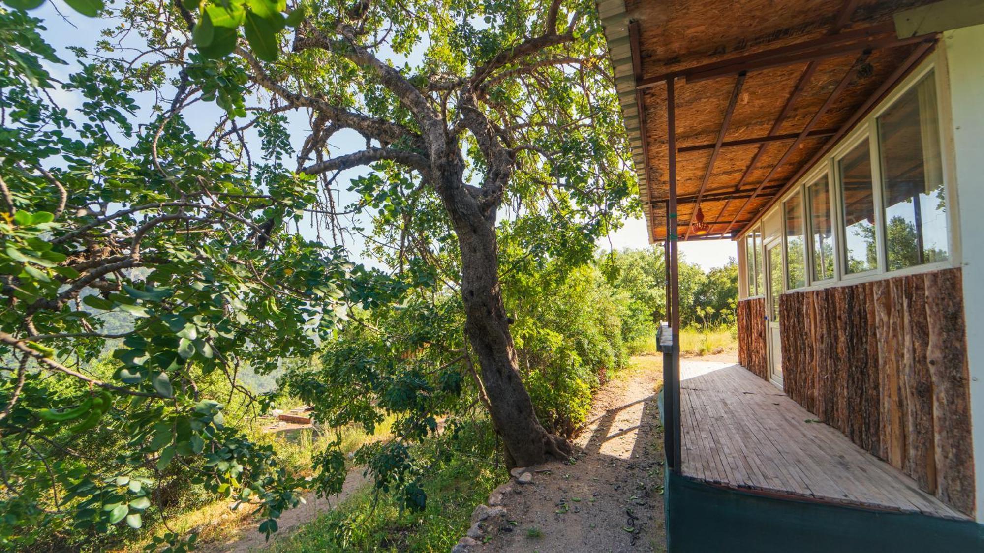 Shiva Camp Hotel ฟารัลยา ภายนอก รูปภาพ